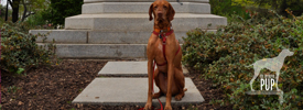 Tavish at the Freedmen's Memorial