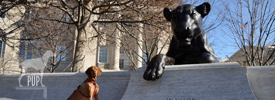 Tavish at the National Law Enforcement Memorial