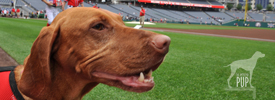 Nationals Park