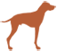 Intrepid Pup icon