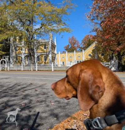 🌎 Perhaps the most photographed home in Maine, this Federal-style residence was constructed in 1826 by a prominent shipbuilder who—inspired by the Milan Cathedral—later added the Gothic Revival trim in the 1850s. Where was Yonder this #WITWW? Give us your best guess in the comments; we’ll post again at 5pm with the photo reveal.