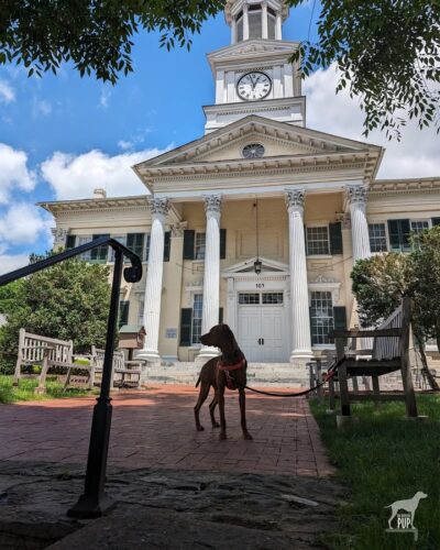 🌎 In 1862, this building stood partially finished but rapidly became a makeshift Civil War hospital. Do you know where Yonder was this #WITWW? Post your guess in the comments; check back at 5pm for the photo reveal!