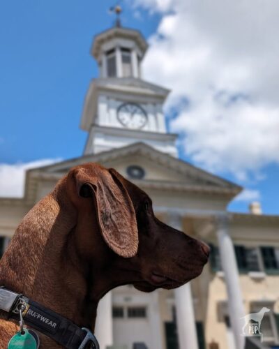 🌎 This #WITWW, Yonder was in Shepherdstown, West Virginia. This building was intended to become the town hall but in its unfinished state was commandeered for a Civil War hospital in the wake of the Battles of South Mountain and Antietam. Today, the edifice is known as McMurran Hall and is part of Shepherd University.