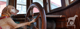 St. Michaels' Chesapeake Bay Maritime Museum