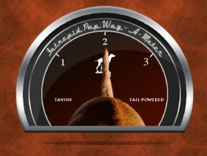Click to see what 2 on the Wag-A-Meter means