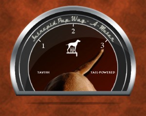 Click to see what a 3 on the Wag-A-Meter means