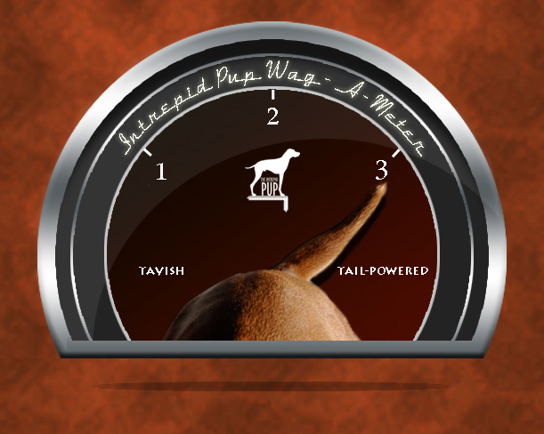 Click to see what a 3 on the Wag-A-Meter means