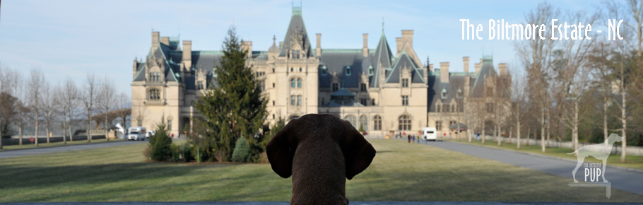 Tavish at the Biltmore