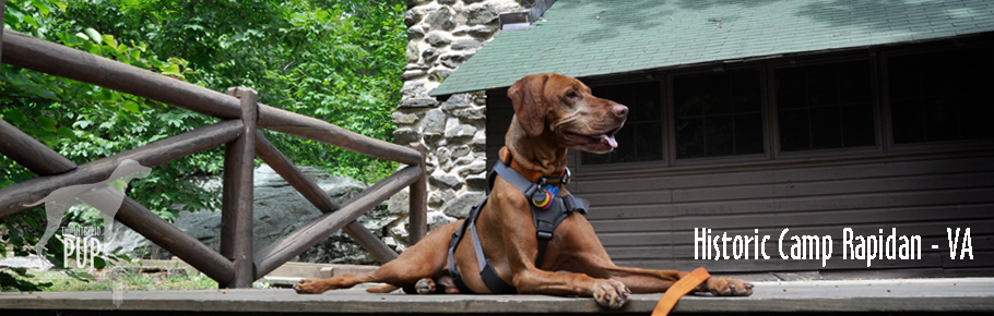 Tavish at historic Camp Rapidan's Brown House