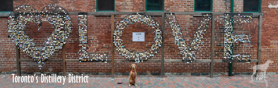 Tavish in Distillery District