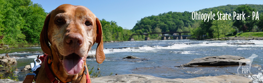 Tavish at Ohiopyle State Park