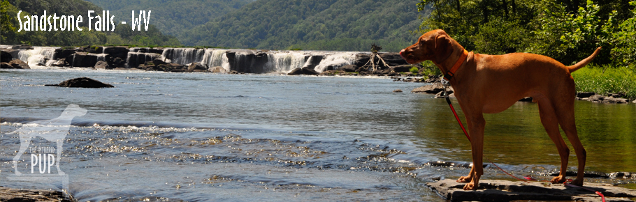 Tavish at Sandstone Falls